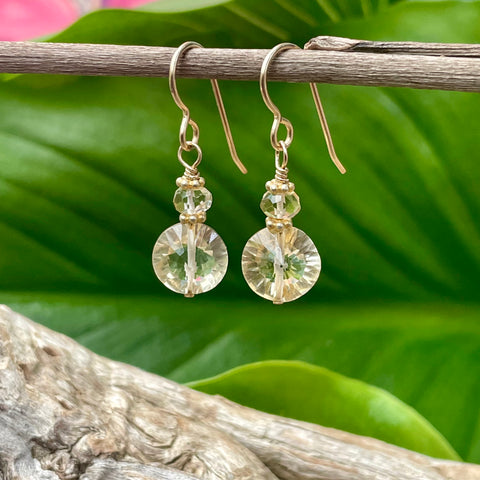 Yellow Topaz Faceted  Drop Earrings hanging on branch with green leaf background