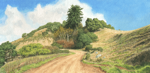 Along the Old coast Road-Giclee on Paper