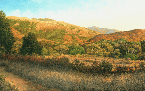 Big Sur Valley - Giclée on Canvas