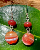 Carnelian Multi-Colored Stipe Earrings hanging on branch with green leaf background 4