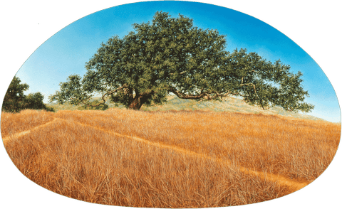 Oak Tree - Giclée on Canvas