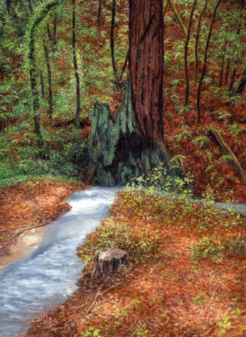 Redwood With Stream - Giclée on Canvas