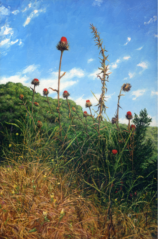 Thistles- Giclée on Canvas