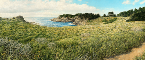 View of Headlands Cove- Giclée on Canvas