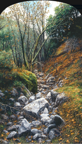 Winter Canyon - Giclée Print on Canvas