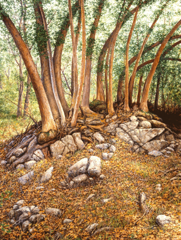 Woodland Castle - Giclée Print on Canvas